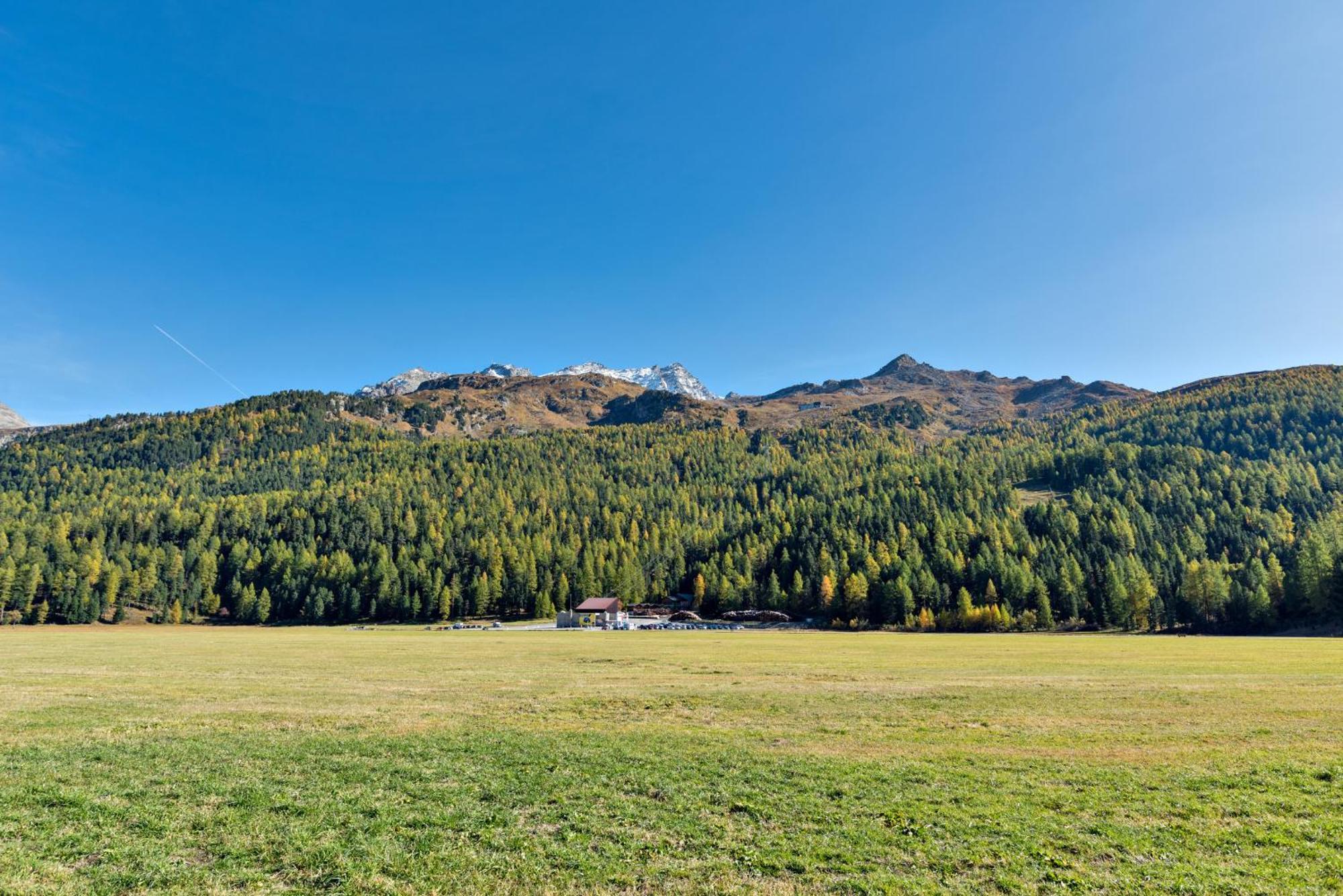 Chesa Allegria - Sils Maria Exterior foto